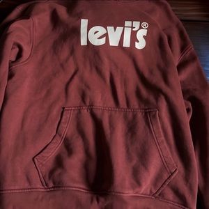 Levi's Men's Graphic Hoodie